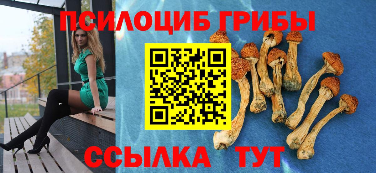 что такое   Вход с VPN  Ипатово  Псилоцибиновые грибы MAGIC MUSHROOMS 
