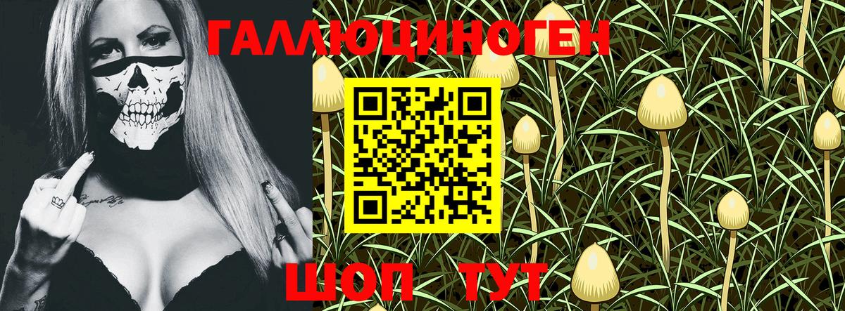 Псилоцибиновые грибы Psilocybe Ипатово